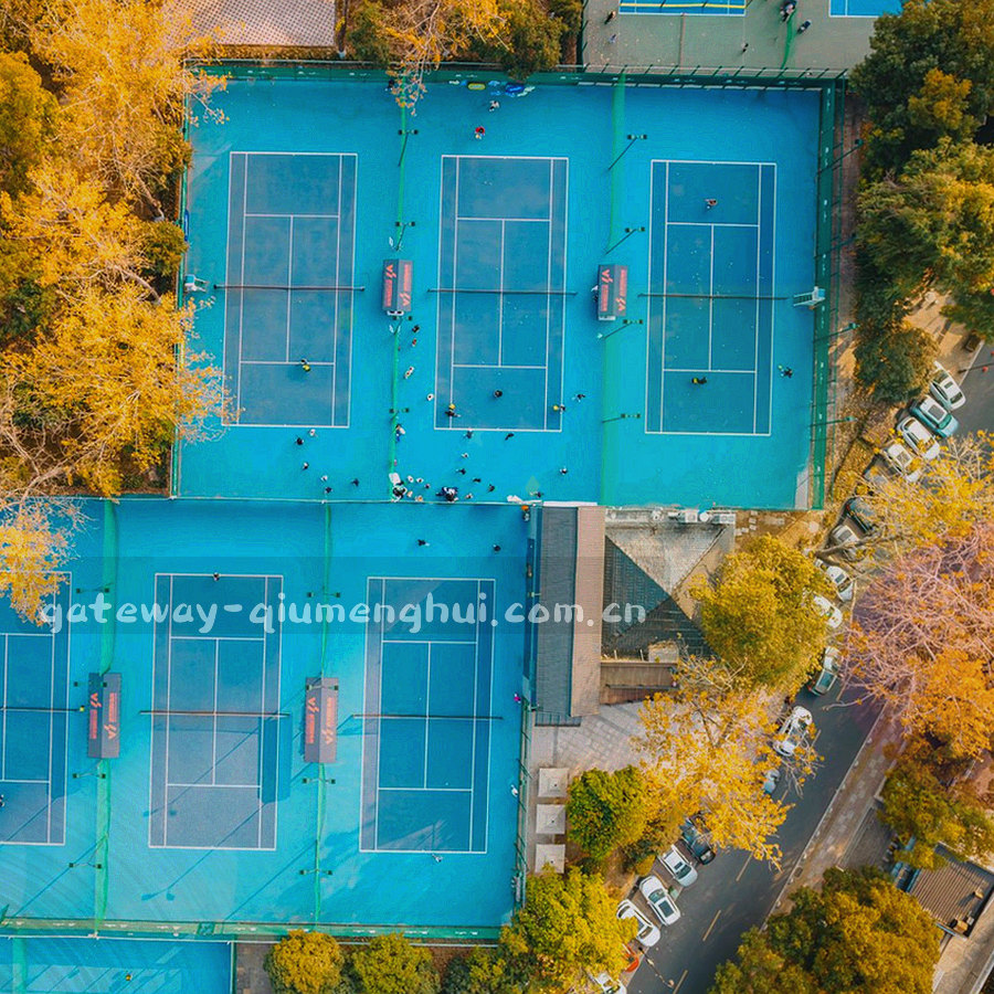 两枚牌面斜放在草皮纹理上的图形化构图，画面中没有人物与队徽